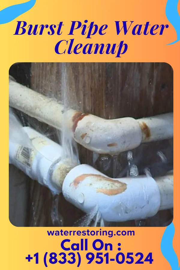 Burst Pipe Water Cleanup in Ontario, OR