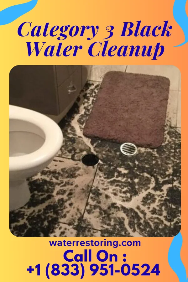 Category 3 Black Water Cleanup in Ontario, OR