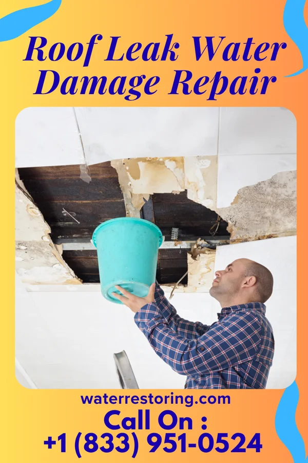 Roof Leak Water Damage Repair in Ontario, OR