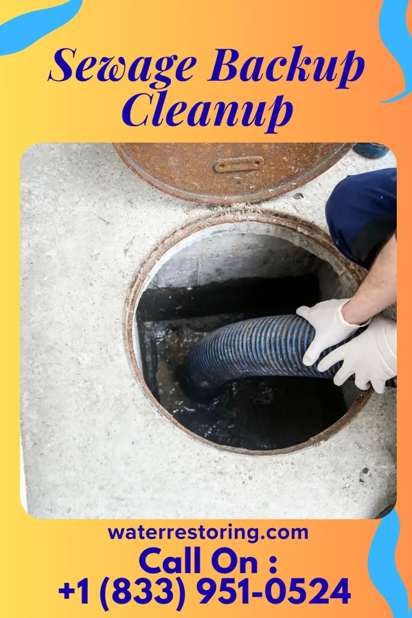 Sewage Backup Cleanup in Ontario, OR